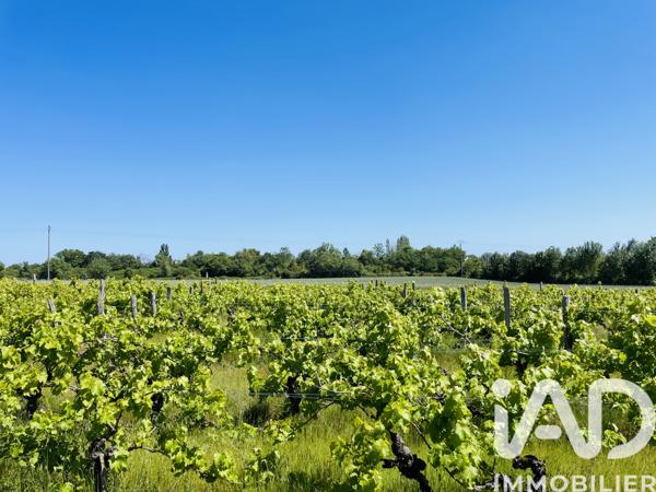 Maison à vendre 6 pièces 108 m² Lys-Haut-Layon