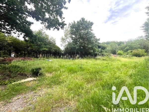 Terrain à vendre 550 m² Pont-de-Buis-lès-Quimerch