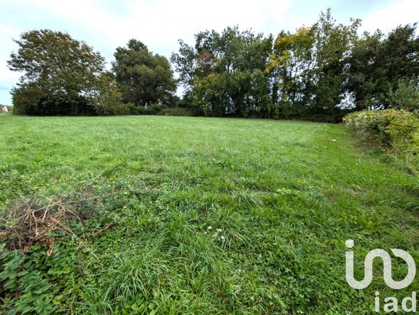 Terrain à vendre 1 272 m² Écoyeux