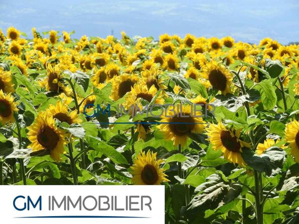 À SAISIR – TERRAIN EXCEPTIONNEL PROCHE D’HAGETMAU