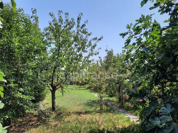ALBI CENTRE MAISON DE VILLE AVEC GARAGE ET JARDIN