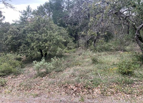 Terrain à vendre    Nans-les-Pins