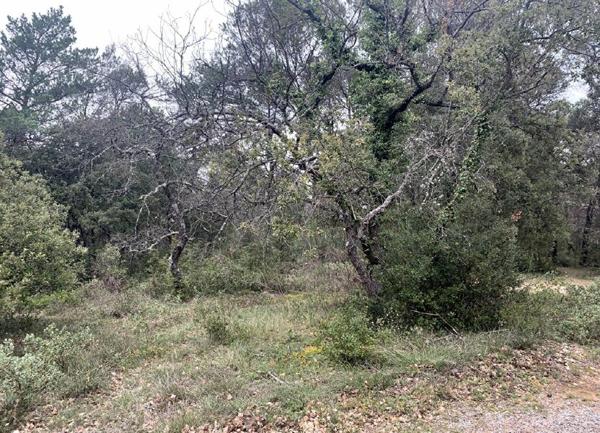 Terrain à vendre    Nans-les-Pins