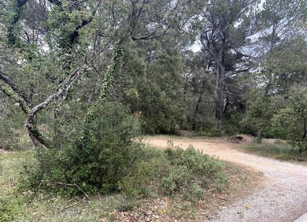 Terrain à vendre    Nans-les-Pins