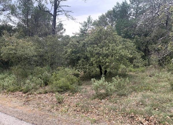 Terrain à vendre    Nans-les-Pins