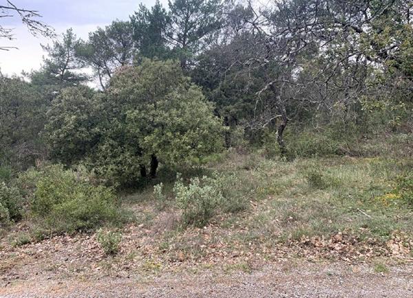 Terrain à vendre    Nans-les-Pins