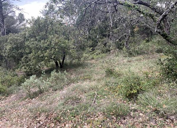 Terrain à vendre    Nans-les-Pins