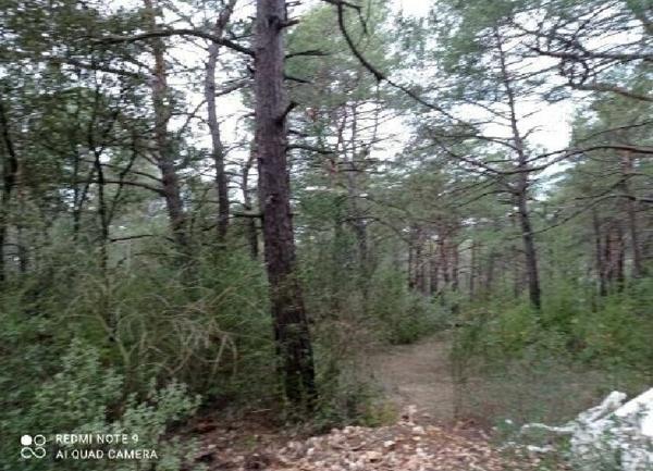 Terrain à vendre    Nans-les-Pins