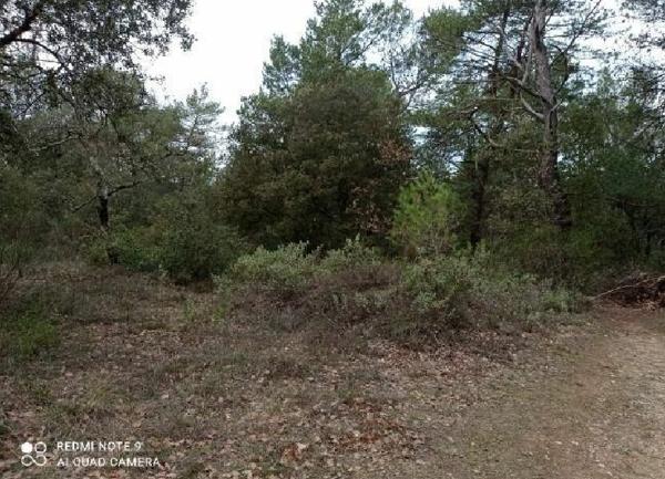 Terrain à vendre    Nans-les-Pins