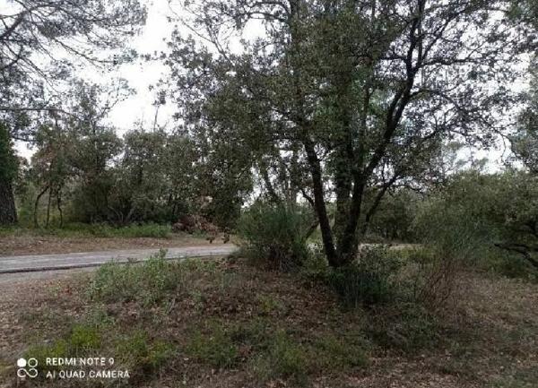 Terrain à vendre    Nans-les-Pins