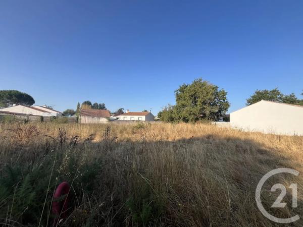 Terrain à vendre  597 m 2   COMMEQUIERS  - 85