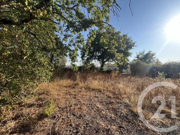 Terrain à vendre  597 m 2   COMMEQUIERS  - 85