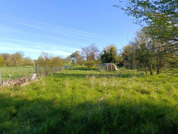 Maison avec sous sol complet - dépendance et terrain à LAHEYCOURT