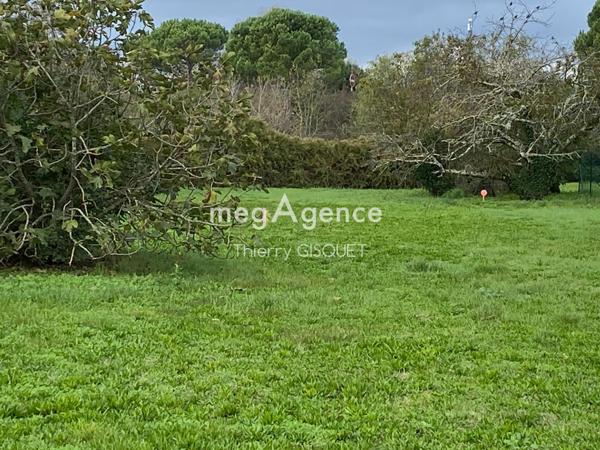 Terrain à MURET, 31600 - 2747m²