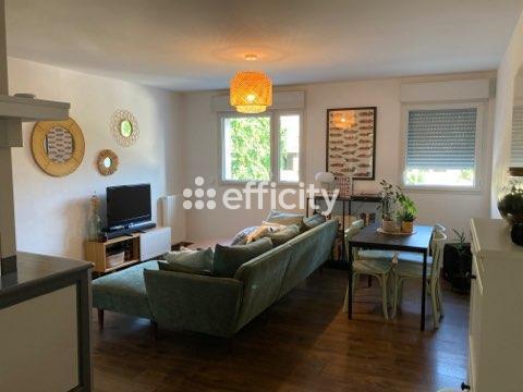 Appartement 2 pièces - 46 m² Exclusivité efficity