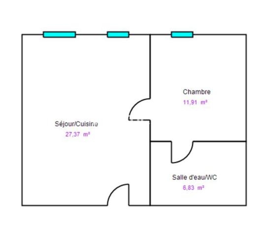 Appartement 2 pièces - 46 m² Exclusivité efficity