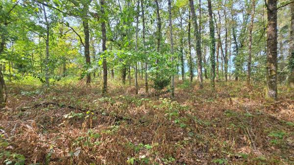 TERRAIN DE LOISIR 6500m² - ENVIRONNEMENT CALME ET CAMPAGNE - PROCHE LIMOGES