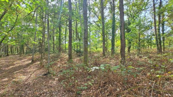 TERRAIN DE LOISIR 6500m² - ENVIRONNEMENT CALME ET CAMPAGNE - PROCHE LIMOGES