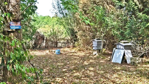 TERRAIN DE LOISIR 6500m² - ENVIRONNEMENT CALME ET CAMPAGNE - PROCHE LIMOGES