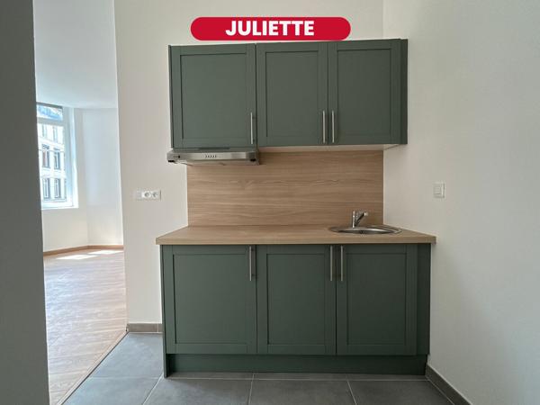 Appartement 2 pièces 39 m2 - Rénové - Lille Centre