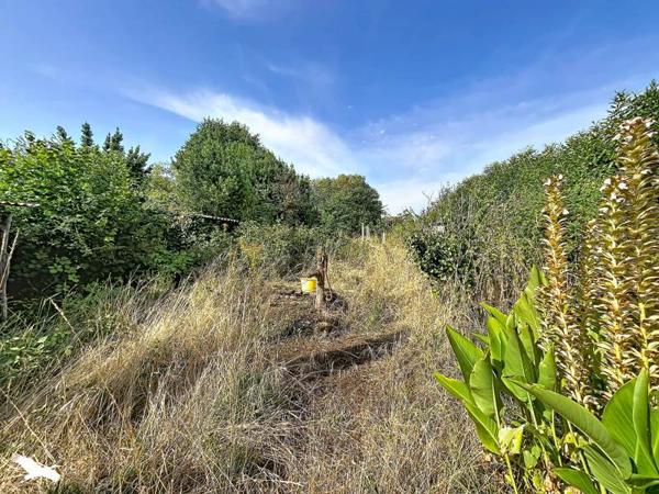 Immeuble 87 920 € Le Dorat 8 p 247 m² DPE D