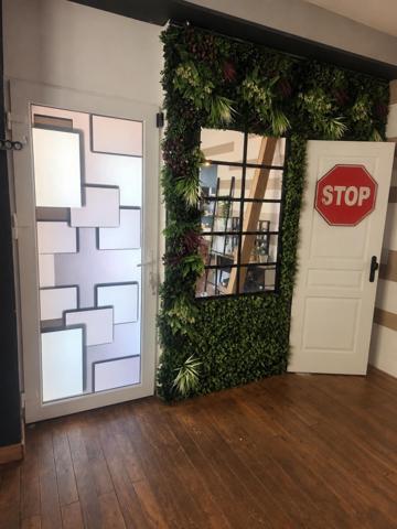 Maison avec activité professionnelle