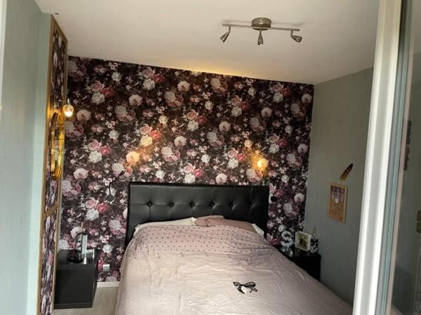 Maison avec activité professionnelle