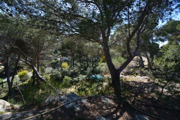 Dpt Bouches du Rhône (13), à vendre proche de  Salon-de-Provence maison P7