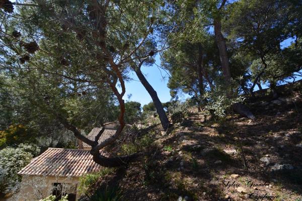 Dpt Bouches du Rhône (13), à vendre proche de  Salon-de-Provence maison P7