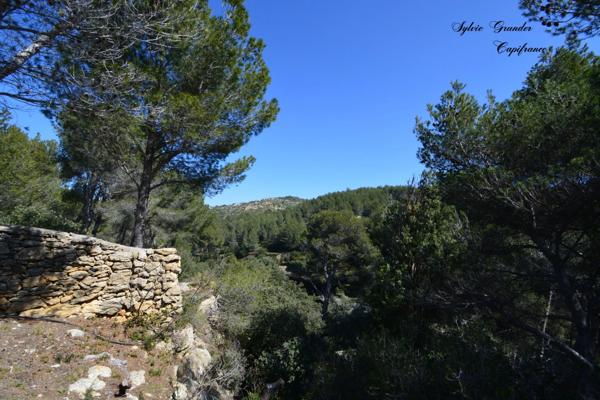 Dpt Bouches du Rhône (13), à vendre proche de  Salon-de-Provence maison P7