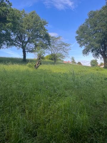 Lescure D'Albigeois. Terrain de 2981 m² constructible