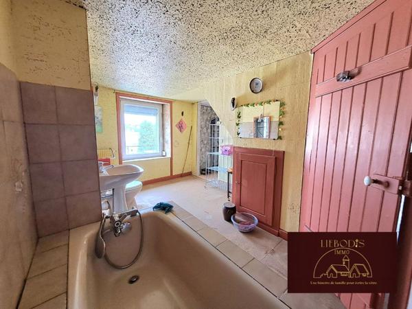 Vézelise (54330) Maison de maître pleine de potentiel