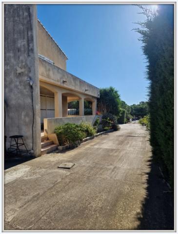 Maison à vendre 12 pièces NARBONNE (11)