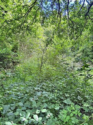 EXCLUSIVITE - COSSESSEVILLE - Terrain de loisirs