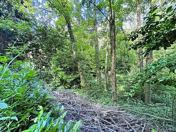 EXCLUSIVITE - COSSESSEVILLE - Terrain de loisirs