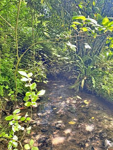 EXCLUSIVITE - COSSESSEVILLE - Terrain de loisirs