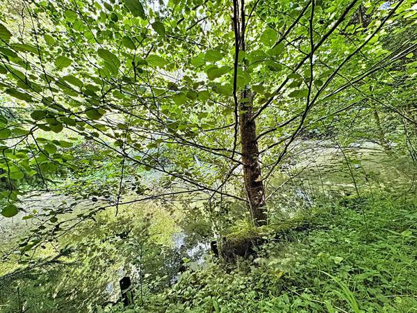 EXCLUSIVITE - COSSESSEVILLE - Terrain de loisirs