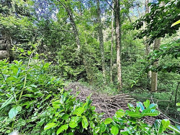 EXCLUSIVITE - COSSESSEVILLE - Terrain de loisirs