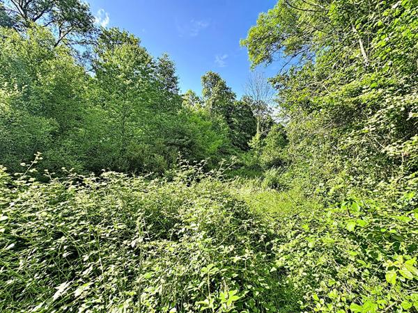 EXCLUSIVITE - COSSESSEVILLE - Terrain de loisirs