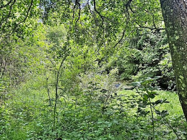 EXCLUSIVITE - COSSESSEVILLE - Terrain de loisirs