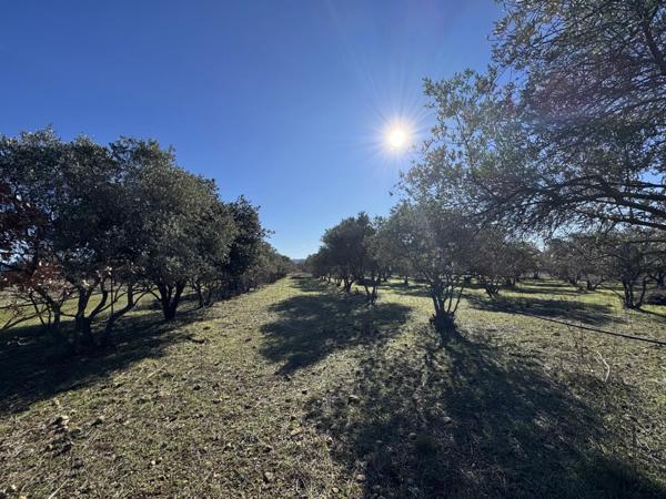 Vente Terrain 3095 m2 à Manosque