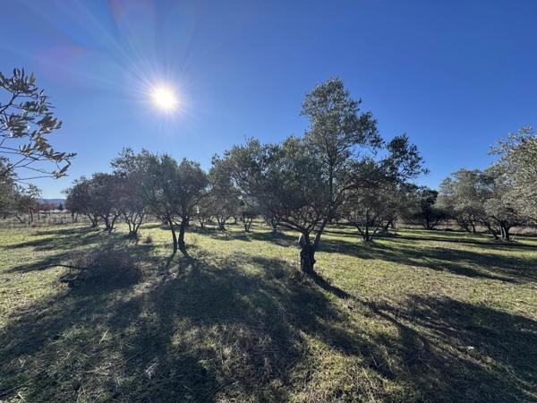 Vente Terrain 3095 m2 à Manosque