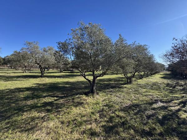 Vente Terrain 3095 m2 à Manosque