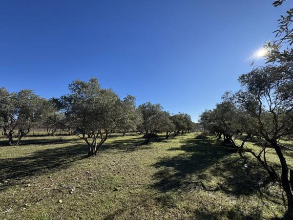 Vente Terrain 3095 m2 à Manosque