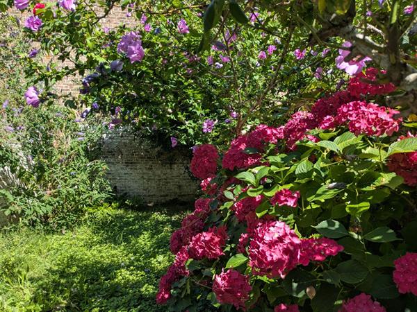 Propriété de charme Amiens Henriville