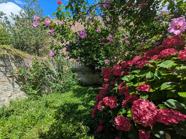 Propriété de charme Amiens Henriville