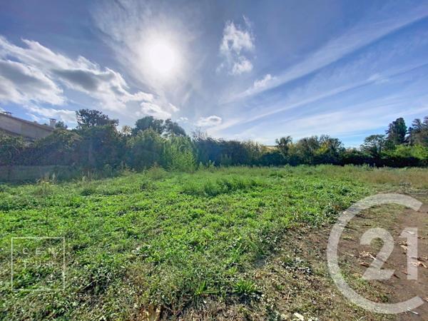 Terrain à vendre  981 m2 TOULOUGES - 66