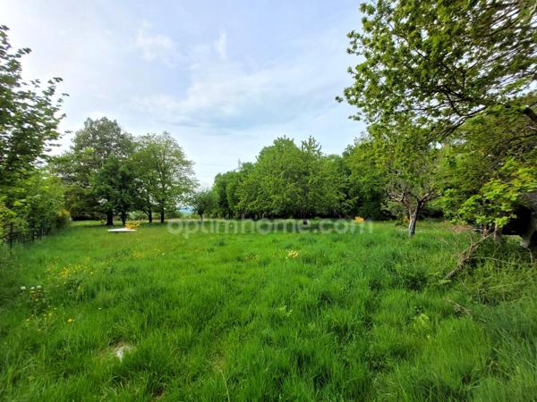 Maison de 153 m² avec 6038 m² de terrain arboré