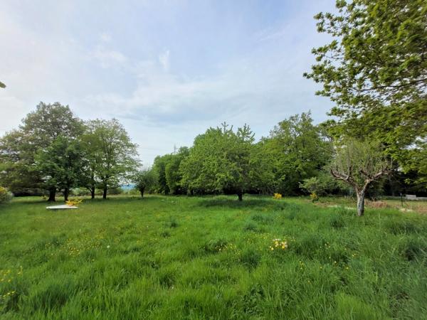 Maison de 153 m² avec 6038 m² de terrain arboré