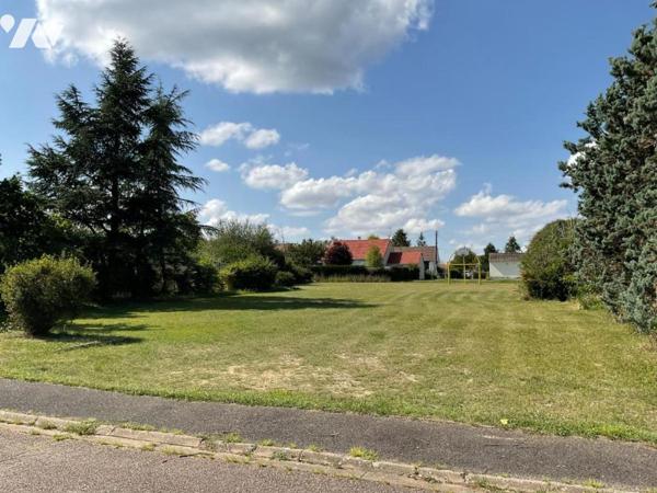 TERRAIN A BATIR 787 m² à CROUY SUR COSSON